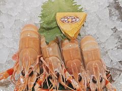 -菊上日式料理(蚌埠银泰店)