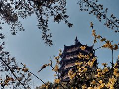 -北寺塔