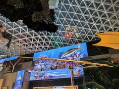 -视博茶点(美狮美高梅店)
