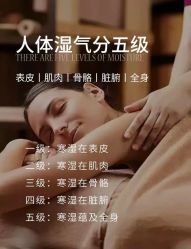-香薇妮丝·定制减肥·身材管理