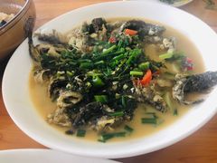 野生木卵鱼-领鲜土菜馆