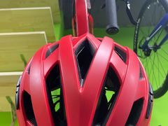 -道路口单车爱瓦士dahon大行