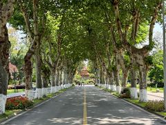 -四川大学(望江校区)