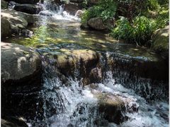 -中国茶叶博物馆(双峰馆区)