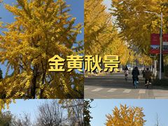 -成都中医药大学(温江校区)