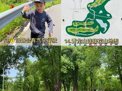 -青龙山国家森林公园