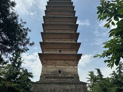 -洛阳白马寺