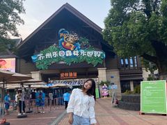 -苏州乐园森林水世界