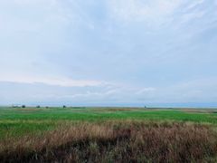 -野鸭湖国家湿地公园