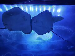 -珠海长隆海洋王国