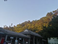 -鼎湖山风景区