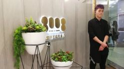 -八佰伴8008星级形象店