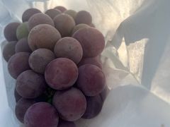 -美家乐农庄·露营·团建(大治路店)