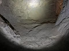 -上海佘山国家森林公园天马山园