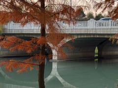 -贡湖湾湿地公园