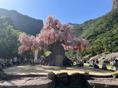 -河南宝泉旅游区
