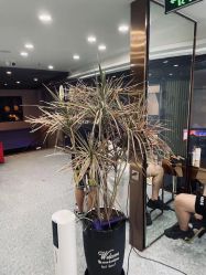 -那茉 Hair Salon