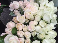 -循礼门鲜花花市(武汉循礼门店)