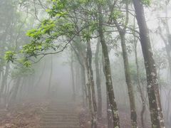 -梧桐山风景名胜区