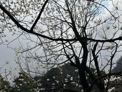 -庐山风景名胜区