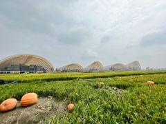 -中国天府农业博览园