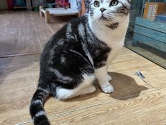 -小时光咖啡馆(开森度假森林店)