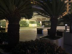 -杭州君悦酒店