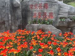 -南山植物园