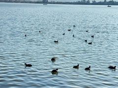 -西昌邛海湿地