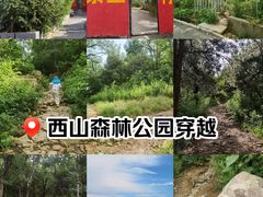 -北京西山国家森林公园