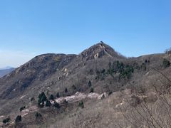 -樱花山风景区