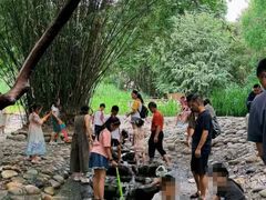-成都市活水公园