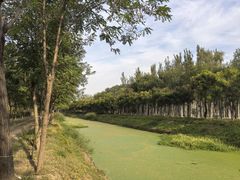 -东郊湿地公园