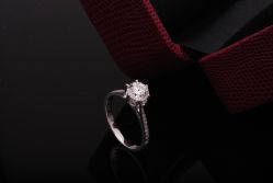 _DSC5177-威德钻石-克拉钻大本营(南京东路店)