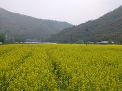 -山沟沟景区