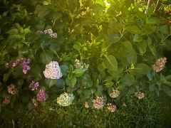 -十二厨·土菜雅院