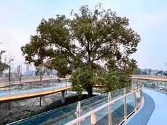 -上海植物园-4号门售票处