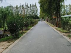 -前小桔亲子创意农场·草莓采摘·露营烧烤