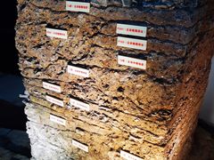 -南越王博物院(王宫展区)