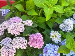 -山东大学(威海校区)