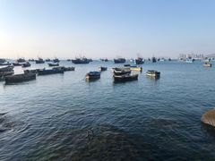 -海源公园
