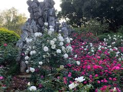 -人民公园(罗湖区)