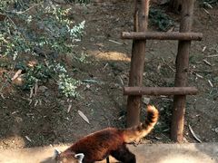 -昆明动物园