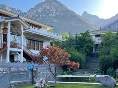 -禅宗少林·音乐大典