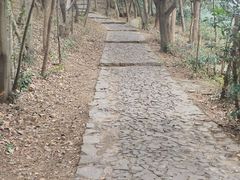 -雨花胜境