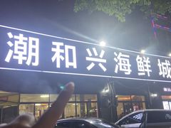 -潮和兴海鲜城·地道潮汕菜(佛山店)