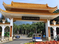 -深圳仙湖植物园