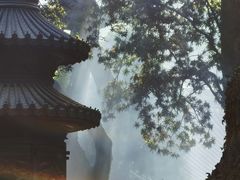 -普陀山慧济禅寺