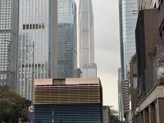 -辉旺烧鹅茶餐厅