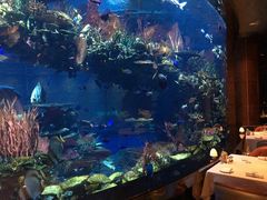 -迪拜帆船酒店海底餐厅